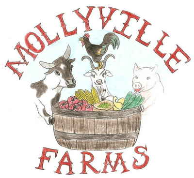 Mollyville_logo